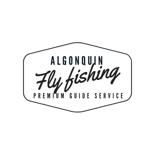 Algonquin Fly Fishing - Fly Fishing, Ottawa Valley